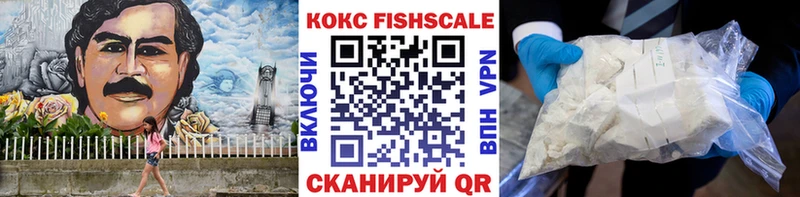как найти закладки  Советская Гавань  Кокаин Fish Scale 