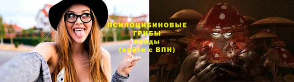 шишки Алексеевка