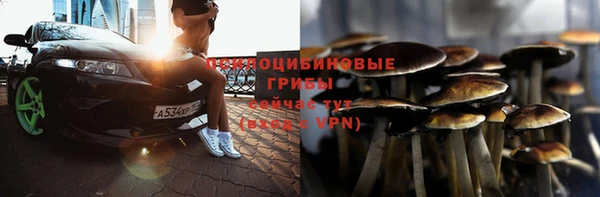 сатива Алексин