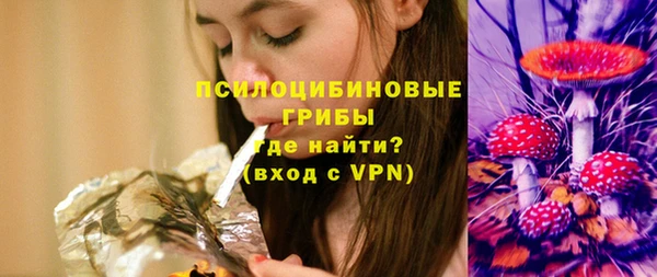 шишки Алексеевка
