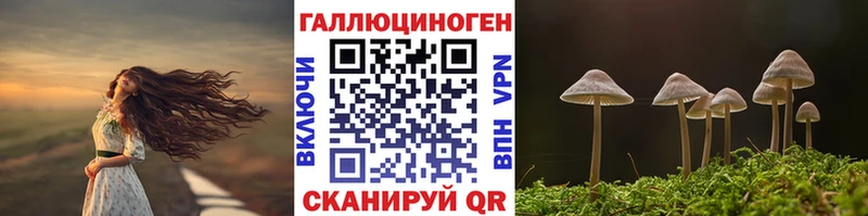 даркнет сайт  Советская Гавань  blacksprut вход  Галлюциногенные грибы мухоморы 